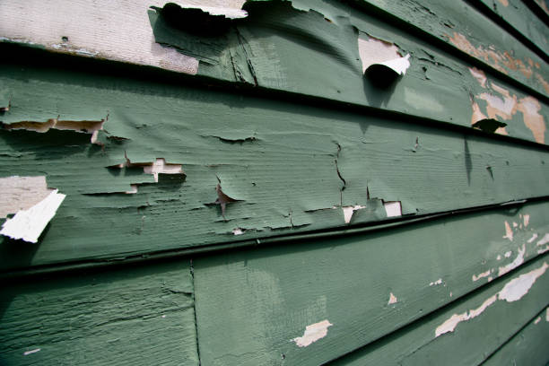 Best Siding Removal and Disposal  in Centerville, SC