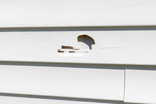 Best Vinyl Siding Installation  in Centerville, SC