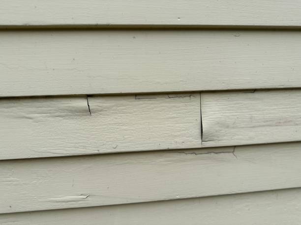 Best Composite Siding  in Centerville, SC